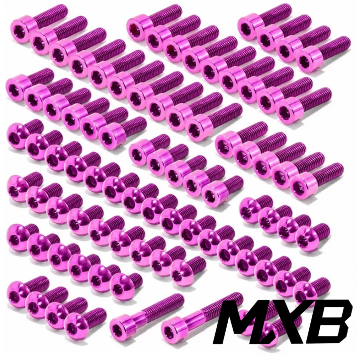 Surron Light Bee / Segway / Falcon / 79Bike Titanium Bolt Kit